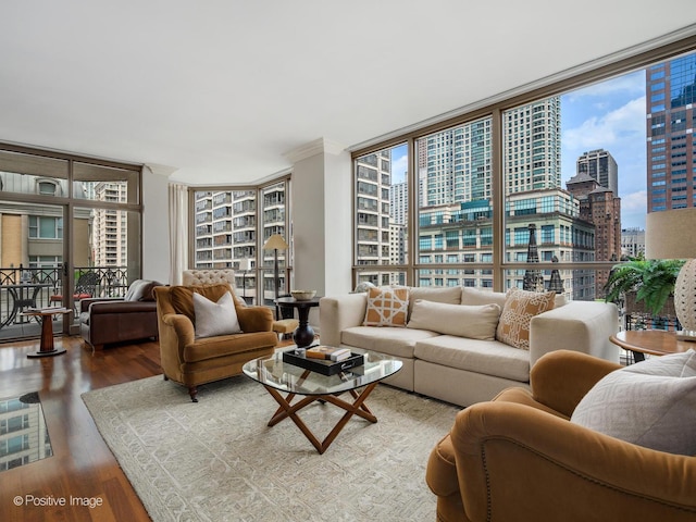 21 E Huron St Unit 1106, Chicago, IL 60611 - living area featuring floor to ceiling windows, a city view, wood finished floors, and healthy amount of natural light
