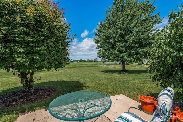 21610 W Empress Ln, Plainfield, IL 60544 - view of green lawn