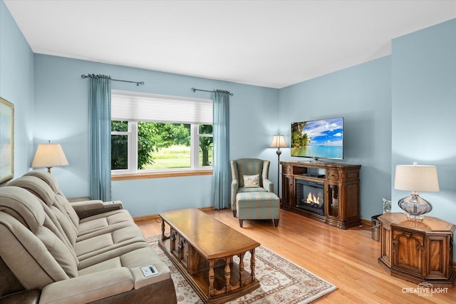21610 W Empress Ln, Plainfield, IL 60544 - living area with wood finished floors and a glass covered fireplace