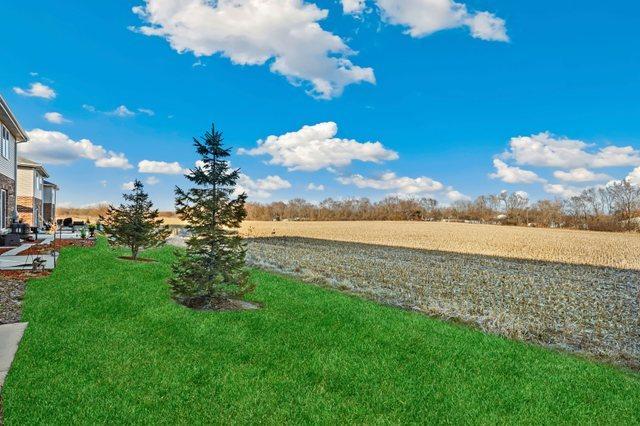 1005 Regent Dr, Matteson, IL 60443 - photo 19