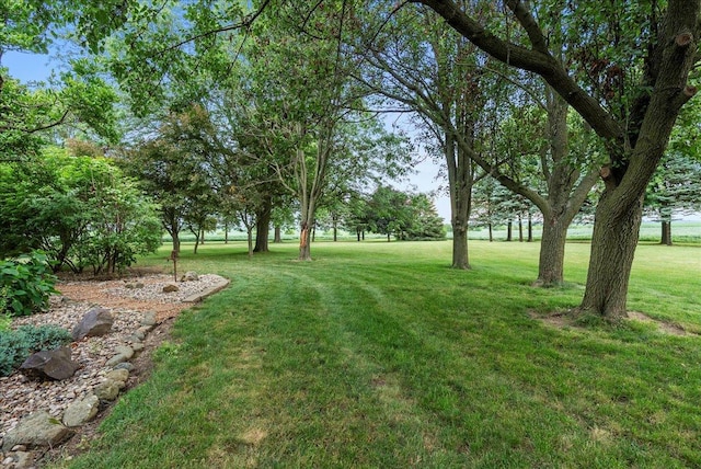 25316 E 1100 N Rd, Downs, IL 61736 - view of green lawn