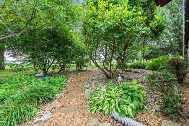 25316 E 1100 N Rd, Downs, IL 61736 - view of yard