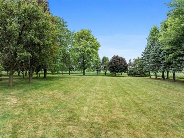 25316 E 1100 N Rd, Downs, IL 61736 - view of green lawn