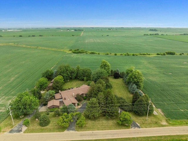 25316 E 1100 N Rd, Downs, IL 61736 - aerial view of sparsely populated area with extensive farmland