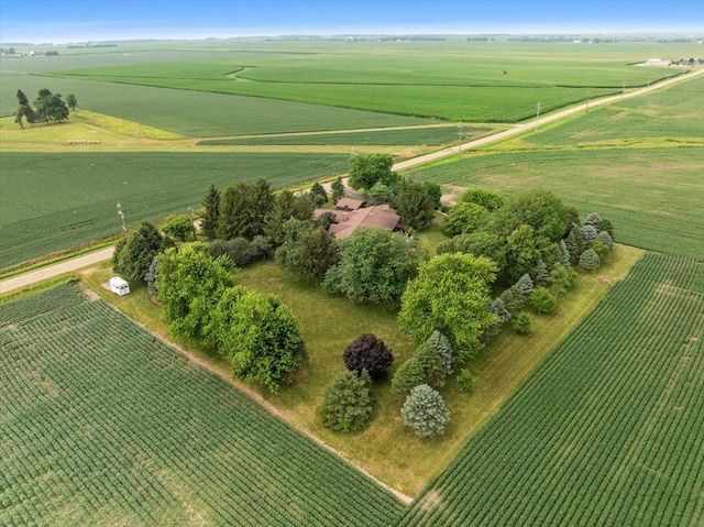 25316 E 1100 N Rd, Downs, IL 61736 - aerial view of property and surrounding area with farmland and rural landscape