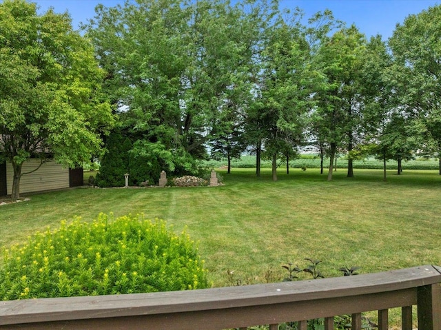 25316 E 1100 N Rd, Downs, IL 61736 - view of grassy yard