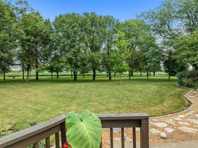 25316 E 1100 N Rd, Downs, IL 61736 - view of grassy yard