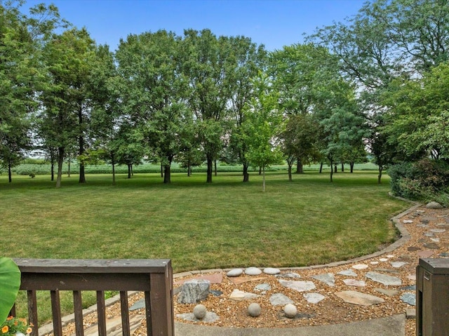 25316 E 1100 N Rd, Downs, IL 61736 - view of grassy yard