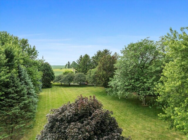 25316 E 1100 N Rd, Downs, IL 61736 - view of green lawn