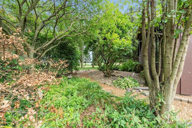 25316 E 1100 N Rd, Downs, IL 61736 - view of local wilderness