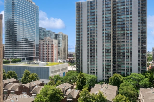 1250 N Dearborn St Unit 11C, Chicago, IL 60610 - city view