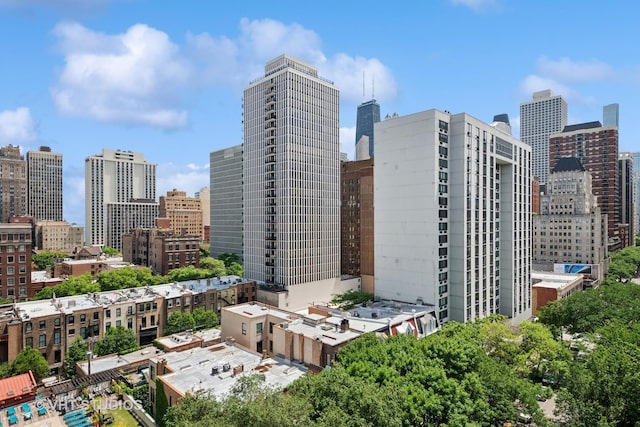 1250 N Dearborn St Unit 11C, Chicago, IL 60610 - view of city skyline