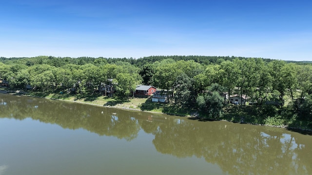 7198 S Rock Nation Rd, Dixon, IL 61021 - view of property location with a nearby body of water and a heavily wooded area