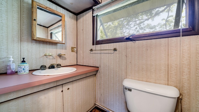 7198 S Rock Nation Rd, Dixon, IL 61021 - half bath featuring healthy amount of natural light, vanity, and wallpapered walls
