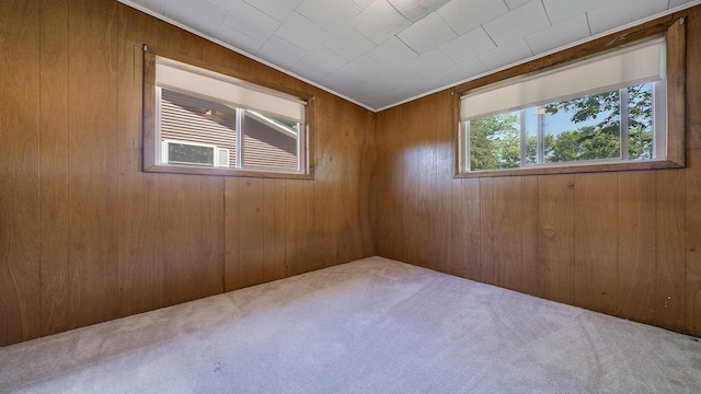 7198 S Rock Nation Rd, Dixon, IL 61021 - carpeted spare room with wood walls