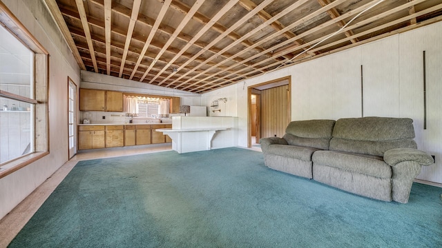 7198 S Rock Nation Rd, Dixon, IL 61021 - unfurnished living room featuring light carpet