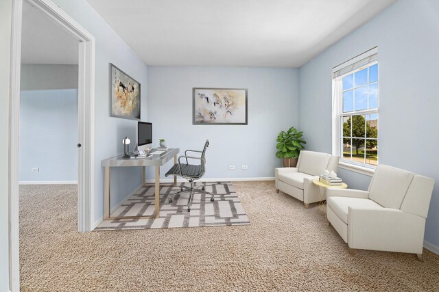 670 Timpani Pl, Volo, IL 60073 - photo 13