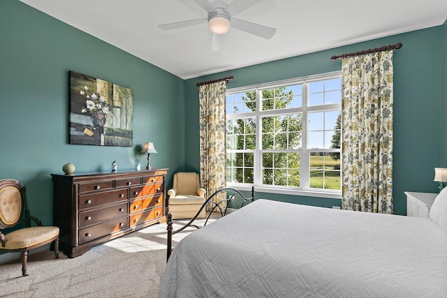 4100 Coyote Lakes Cir, Lake In The Hills, IL 60156 - carpeted bedroom featuring a ceiling fan