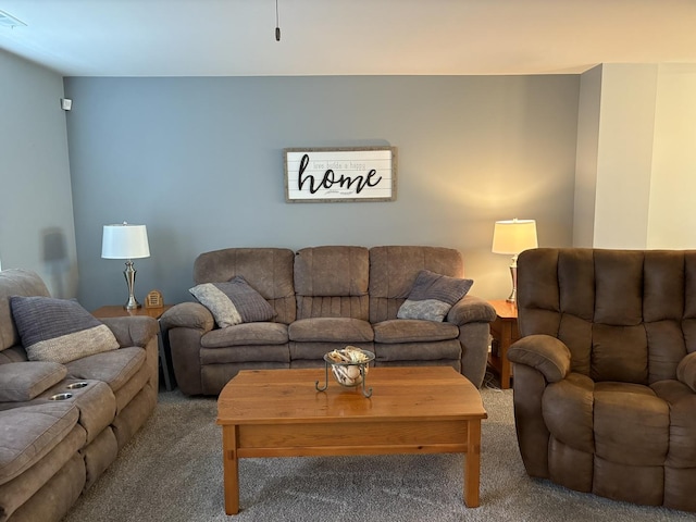 582 Spring Leaf Dr, Joliet, IL 60431 - living area featuring carpet