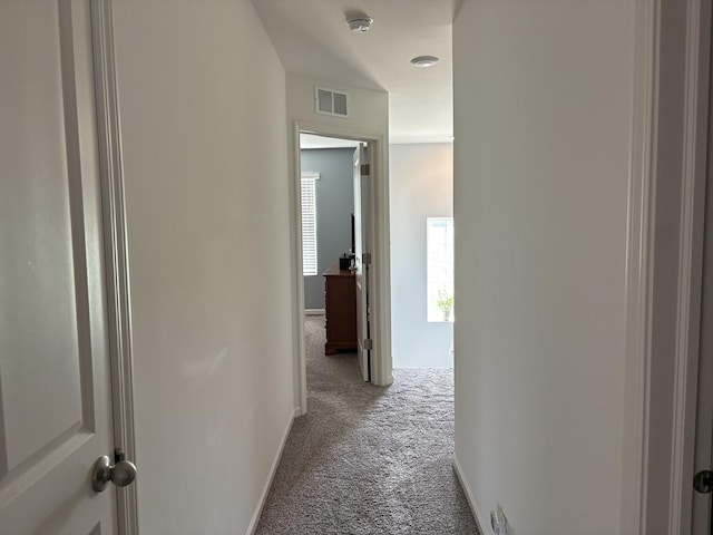 582 Spring Leaf Dr, Joliet, IL 60431 - hall with carpet floors and baseboards