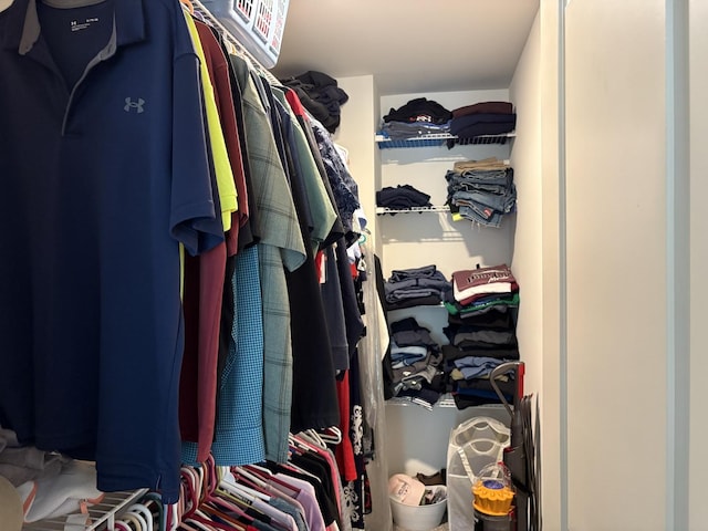 582 Spring Leaf Dr, Joliet, IL 60431 - view of walk in closet
