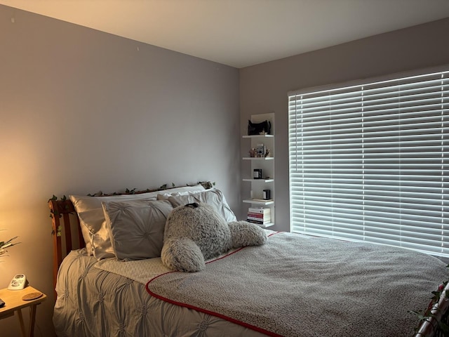 582 Spring Leaf Dr, Joliet, IL 60431 - view of bedroom