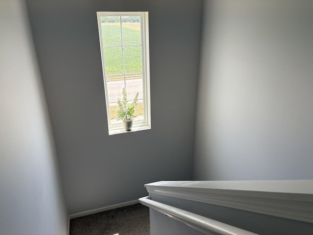 582 Spring Leaf Dr, Joliet, IL 60431 - stairway featuring carpet floors and baseboards