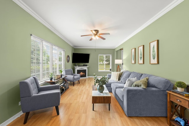 931 Mesa Dr, Elgin, IL 60123 - living room featuring crown molding, ceiling fan, and light wood-style floors