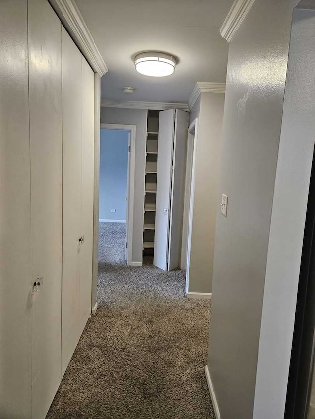 1100 E Randville Dr Unit 304, Palatine, IL 60074 - hall with carpet and ornamental molding