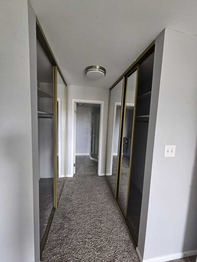 1100 E Randville Dr Unit 304, Palatine, IL 60074 - hallway with carpet flooring