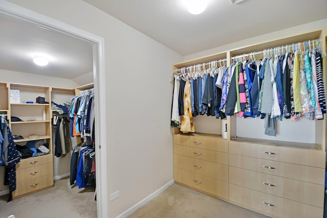 35 Open Pkwy N, Hawthorn Woods, IL 60047 - photo 27