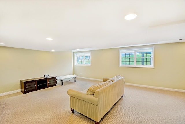 35 Open Pkwy N, Hawthorn Woods, IL 60047 - photo 35