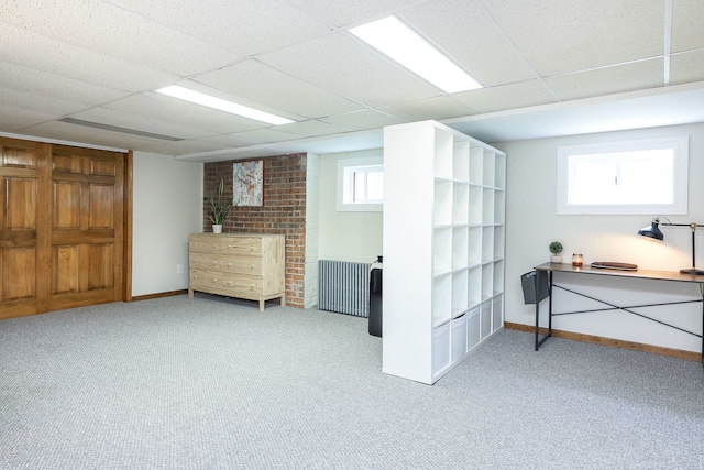 296 N Addison Ave, Elmhurst, IL 60126 - below grade area with radiator, carpet, and a paneled ceiling