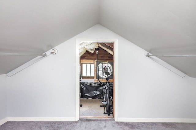 296 N Addison Ave, Elmhurst, IL 60126 - additional living space with carpet flooring and vaulted ceiling