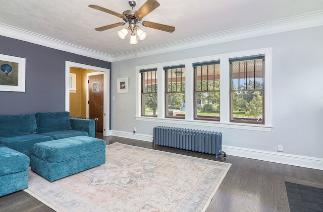 296 N Addison Ave, Elmhurst, IL 60126 - living room with radiator heating unit, a ceiling fan, crown molding, and dark wood-style floors
