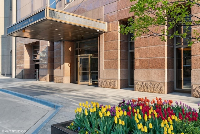 161 E Chicago Ave Unit 29De, Chicago, IL 60611 - property entrance
