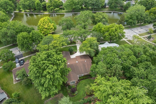 1105 W Bauer Rd, Naperville, IL 60563 - photo 30