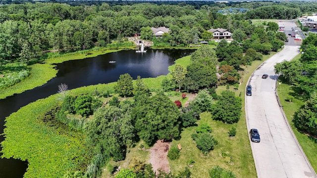 1 Moorings Dr, Palos Heights, IL 60463 - aerial view of a large body of water