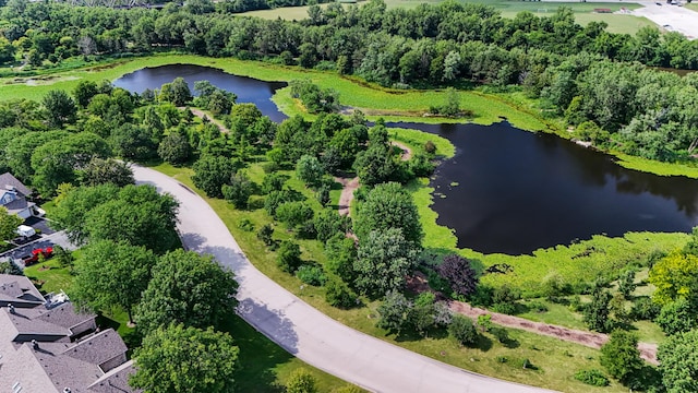 1 Moorings Dr, Palos Heights, IL 60463 - drone / aerial view of a large body of water