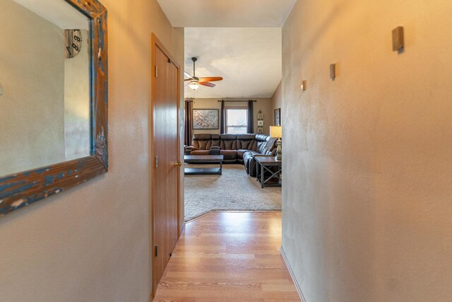 2030 Southfield Ln, Byron, IL 61010 - hallway featuring light wood-style floors