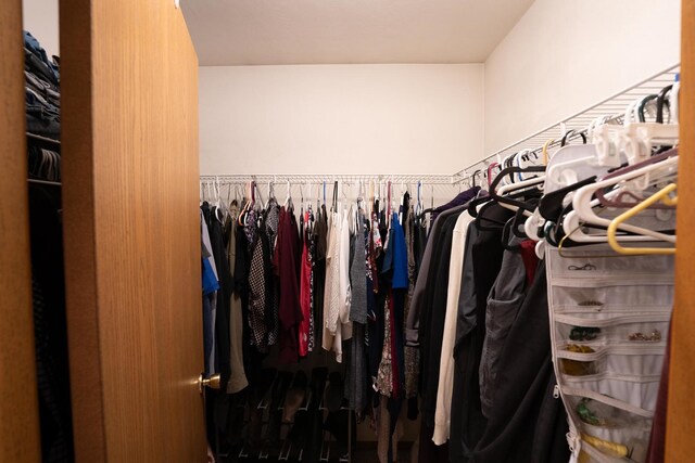 2030 Southfield Ln, Byron, IL 61010 - view of walk in closet