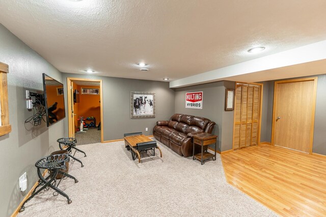 2030 Southfield Ln, Byron, IL 61010 - carpeted living area with a textured ceiling and recessed lighting