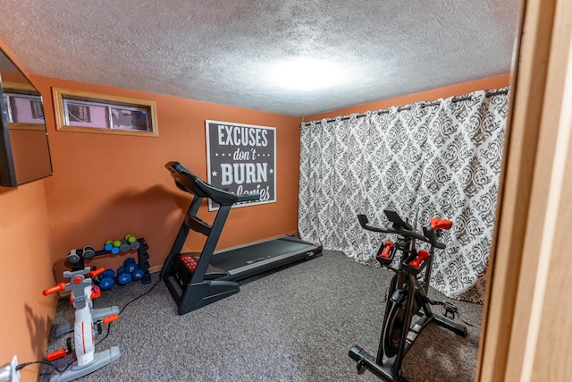 2030 Southfield Ln, Byron, IL 61010 - workout room featuring a textured ceiling and carpet floors