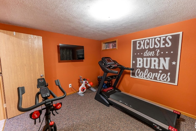 2030 Southfield Ln, Byron, IL 61010 - workout area featuring a textured ceiling and carpet floors