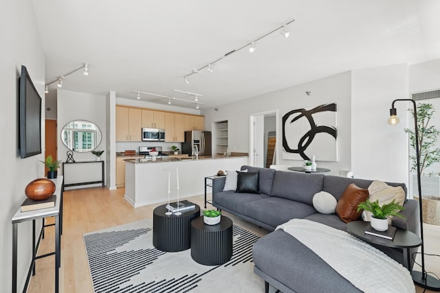 330 W Grand Ave Unit 1307, Chicago, IL 60654 - living room with rail lighting and light wood-type flooring