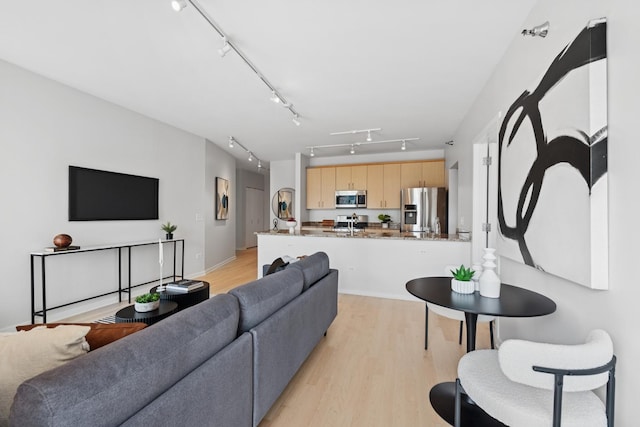330 W Grand Ave Unit 1307, Chicago, IL 60654 - living room featuring light wood finished floors and track lighting