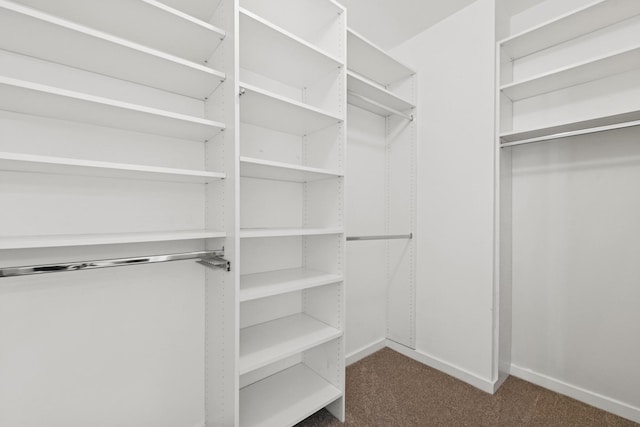 330 W Grand Ave Unit 1307, Chicago, IL 60654 - walk in closet featuring carpet