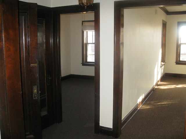 2244 W Augusta Blvd, Chicago, IL 60622 - hallway with healthy amount of natural light, carpet, and crown molding