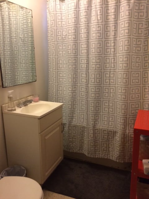 2244 W Augusta Blvd, Chicago, IL 60622 - bathroom featuring vanity and toilet