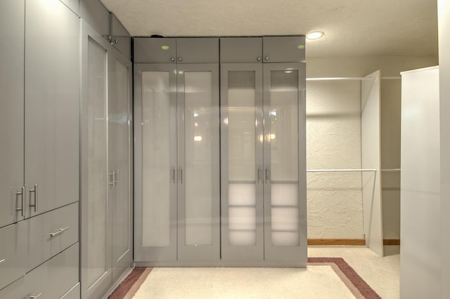 8170 Lake Ridge Dr, Burr Ridge, IL 60527 - spacious closet with carpet